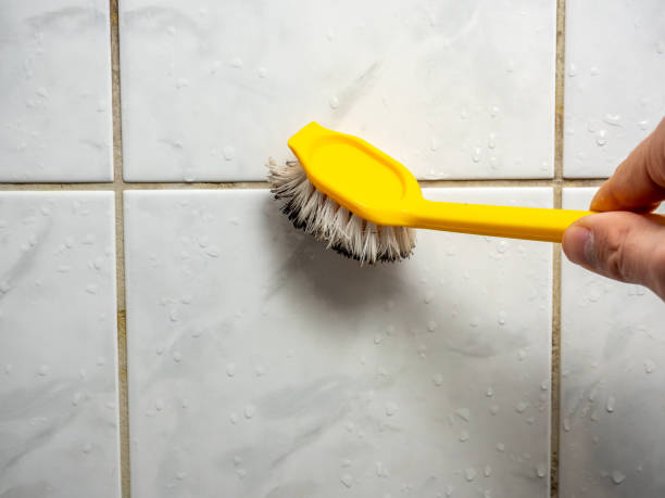 Best Black Mold Removal  in Black Rock, NM