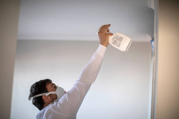 Best Attic Mold Removal  in Black Rock, NM