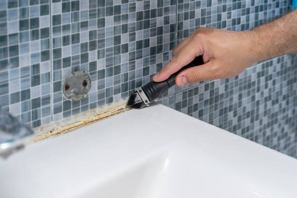 Professional Mold Removal in Black Rock, NM