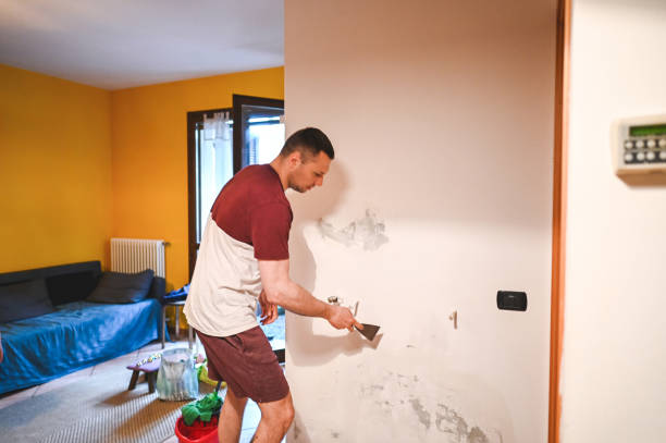 Best Emergency Mold Removal  in Black Rock, NM